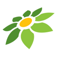 TWITTER WEBSITE